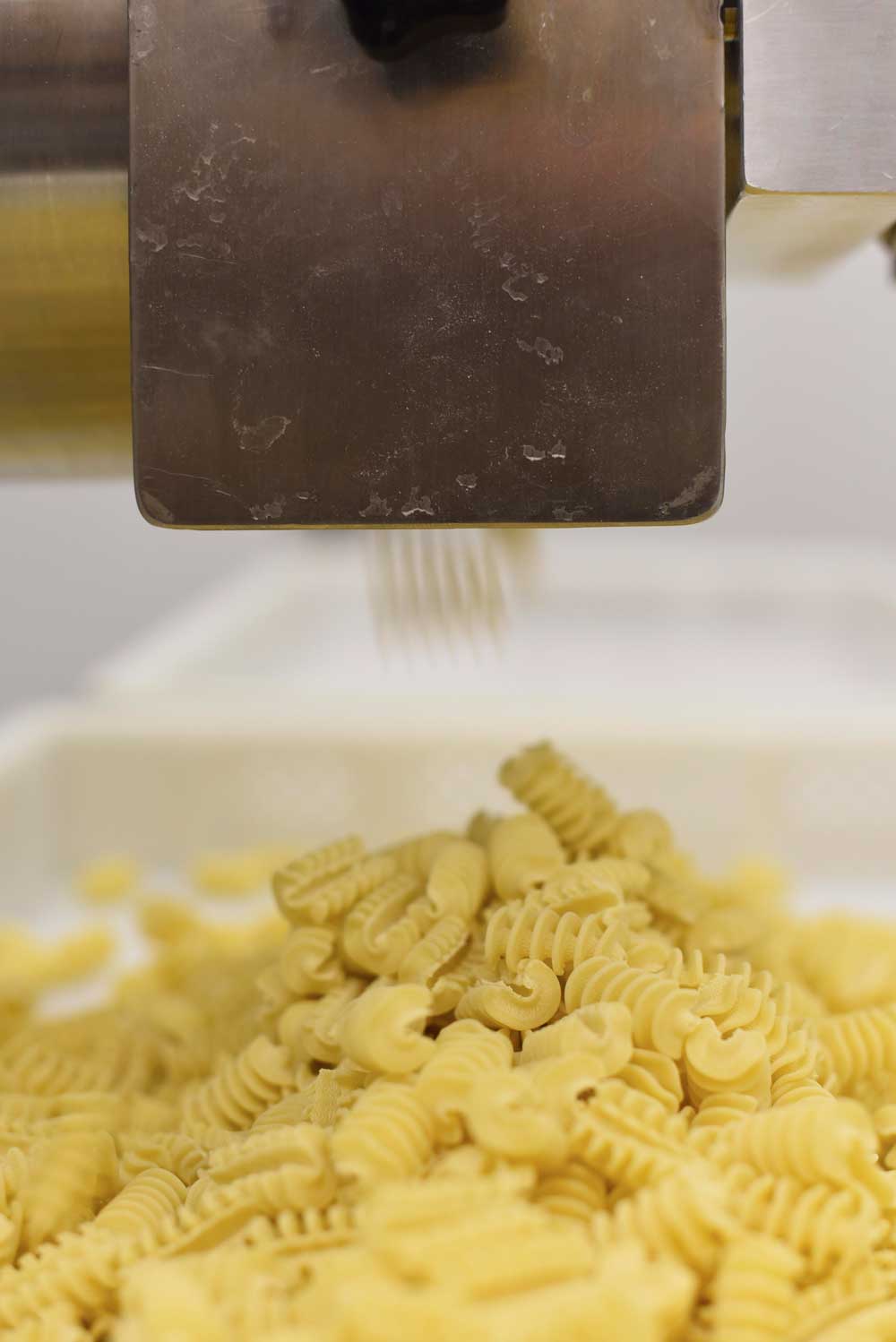 Pasta is quickly formed by the small machine at the back of Baia Pasta.