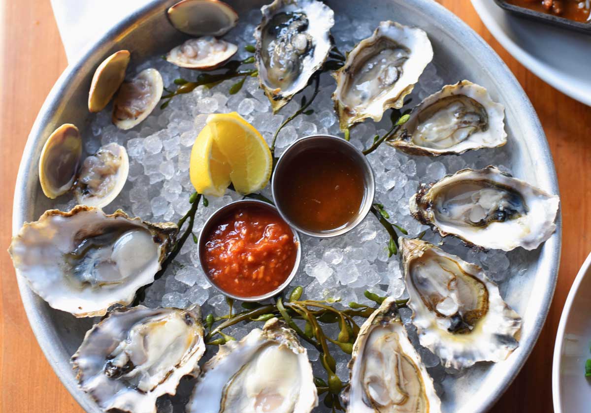 Freshly shucked oysters cool on ice.