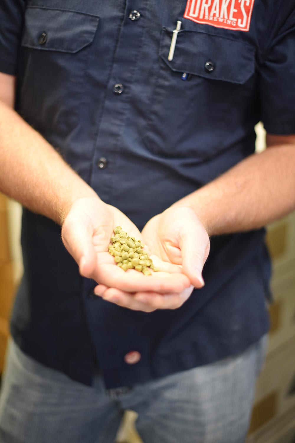 Dunstan holds the hops that are integral to the beer making at Drake's 