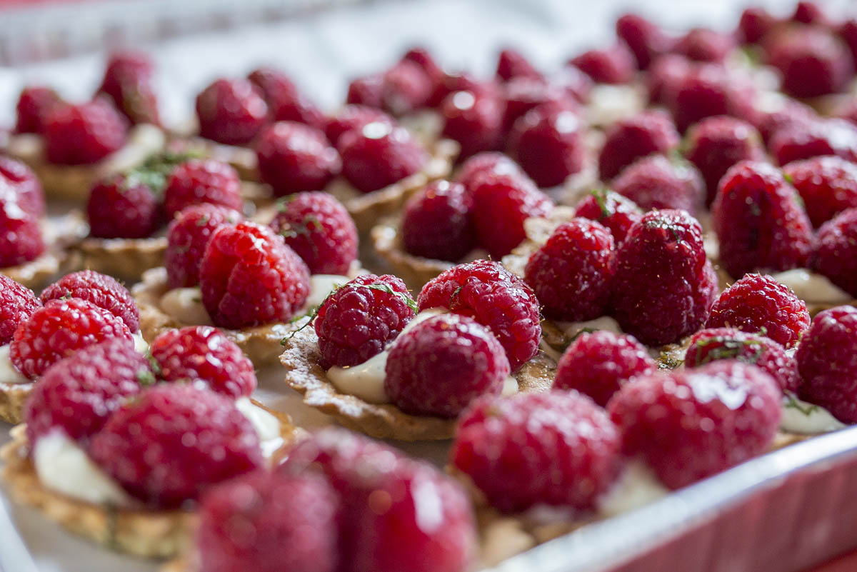 Raspberry tartlets catered by Castagna