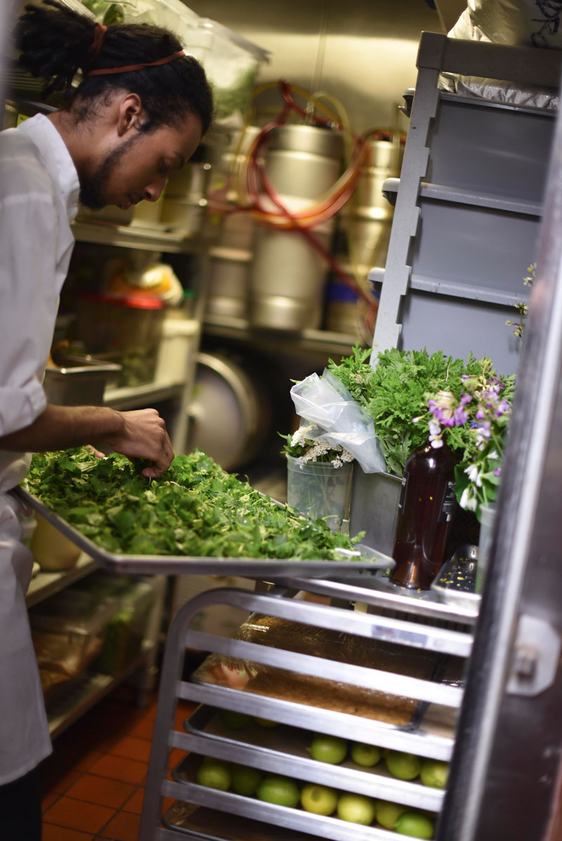 Flowery herbs and greens are picked by the staff and the chef in local parks and growth areas.