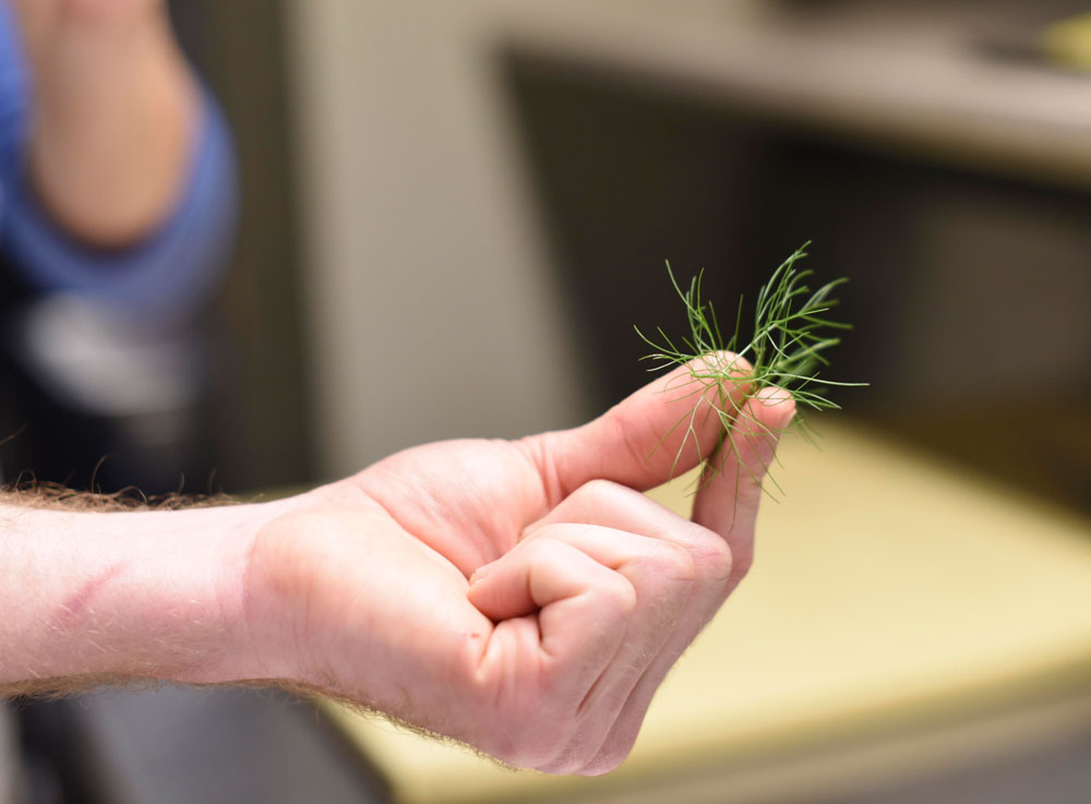 Fresh fennel, foraged by the chef earlier that day